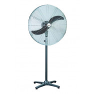 Pedestal Fans